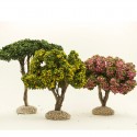 Le coffret de 5 arbres de Provence