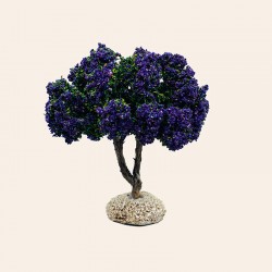 Arbre Lilas